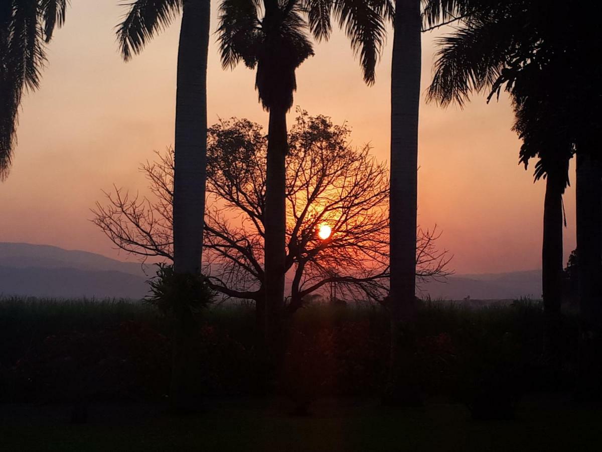 Rosegarden Guesthouse Pongola Eksteriør bilde